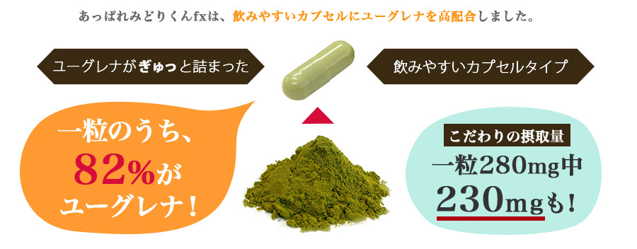 ユーグレナ配合サプリメントあっぱれみどりくんfx｜パラミロンが体の中をお掃除